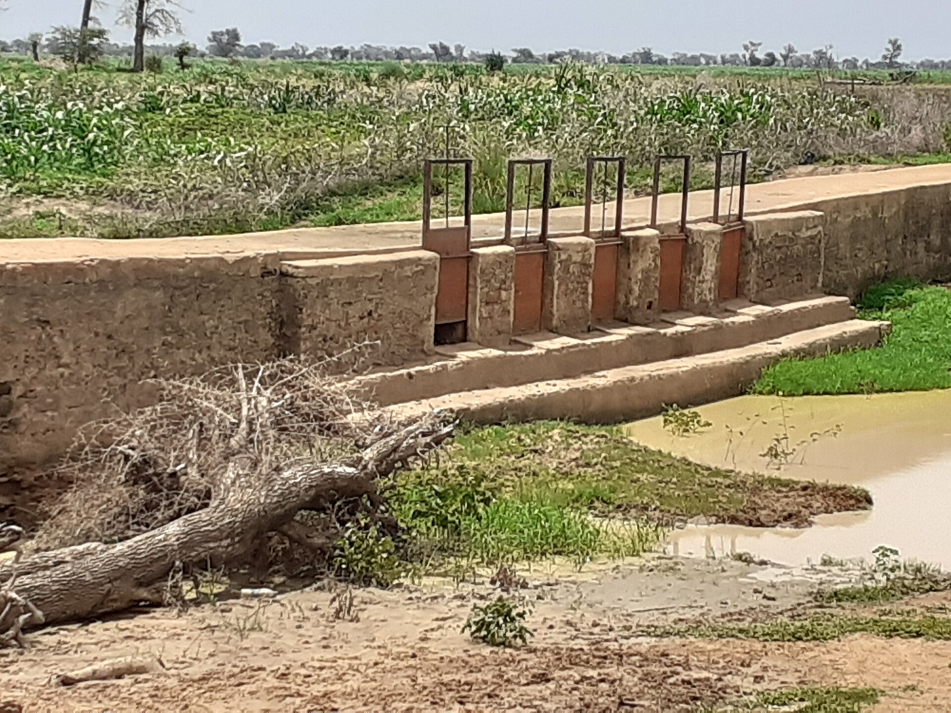 Ouvrage hydraulique en zone frontalière, département du Mayo-Danay